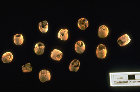 Balnakeil (Watkins 2017)